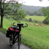 1208F 040 am jungen Neckar